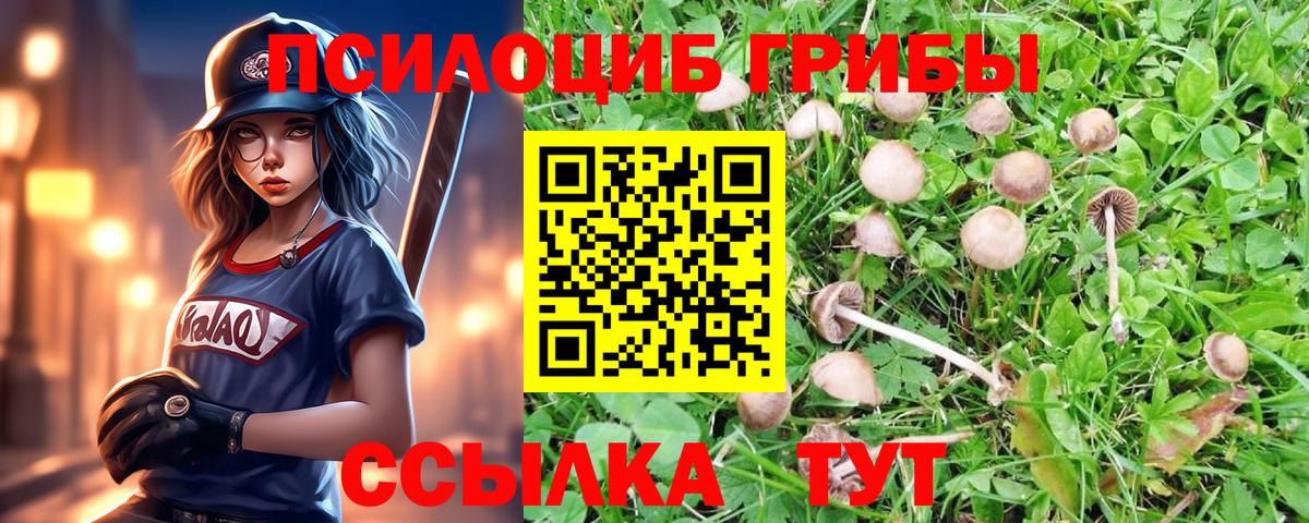Галлюциногенные грибы MAGIC MUSHROOMS  цена   Ишимбай  Вход с VPN 